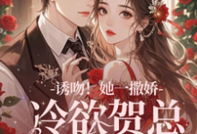 跪求主角是贺言彻林鹿笙的小说书名叫什么-看书城