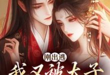 求助这本刚出逃，我又被太子绑回来了小说在哪里可以看完结版-看书城