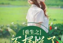 小说重生之不摆烂了，我要当权臣（夜景煜桑锦虞）最新章节在哪看-看书城