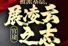 主角是楚昊宇的小说官途:被派基层,展凌云之志在哪免费看-看书城