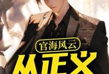 官海风云：从正义开始免费阅读，何强大结局无弹窗-看书城