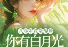小说八零军花觉醒后,你有白月光我改嫁(宋佳茵杜知知)最新章节在哪看-看书城
