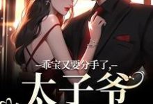求助这本乖宝又要分手了,太子爷求贴贴小说在哪里可以看完结版-看书城