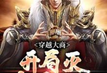 主人公是殷寿姬发的小说穿越大商，开局灭十万叛军免费阅读-看书城