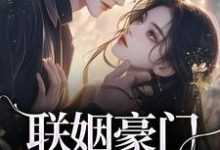 小说联姻豪门继承人后,我逃婚了!(沈心姿陆仲廷)最新章节在哪看-看书城