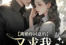 离婚你同意的，又求我复婚干什么热门小说(沈青漓周晏辰)在线阅读无弹窗-看书城