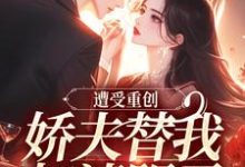 小说遭受重创，娇夫替我扫清阴霾（萧溪羽沈墨）最新章节在哪看-看书城