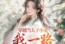 穿越当太子小妾,我一路扶摇直上完结版沈嫣萧逸宸免费阅读大结局-看书城
