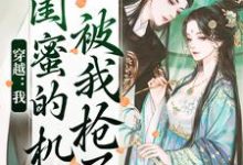 穿越:我闺蜜的机缘被我抢了完结版梅久免费阅读大结局-看书城
