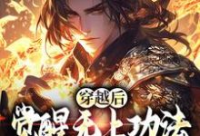 穿越后，觉醒无上功法的我要复仇了（宋终）最新章节免费在线阅读-看书城