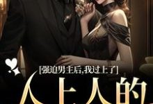 求助这本强迫男主后,我过上了人上人的生活小说在哪里可以看完结版-看书城