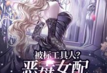 被标工具人？恶毒女配甩男主求自由热门小说(宋以宁许继琛)在线阅读无弹窗-看书城