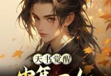 天书觉醒：少年一人一棍斩仙帝完结版柳如月陈天极免费阅读大结局-看书城