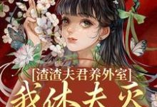 萧时衍叶宛卿小说免费阅读最新章节列表,渣渣夫君养外室,我休夫灭妾另高嫁小说在线看-看书城