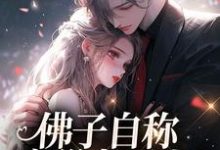 完结版佛子自称空巢老男人？我真的笑了在哪免费看，苏晚杳傅慎廷小说在线阅读-看书城