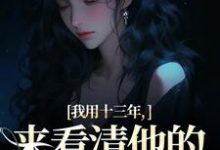 我用十三年，来看清他的真心无常最新章节我用十三年，来看清他的真心无常在线阅读-看书城