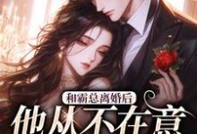 许烟秦冽小说免费阅读最新章节列表，和霸总离婚后，他从不在意变求复婚小说在线看-看书城
