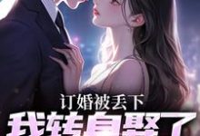 完结版订婚被丢下,我转身娶了娇娇千金在哪免费看,江辰苏密小说在线阅读-看书城