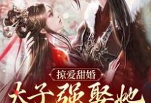 掠爱甜婚：太子强娶她入东宫完结版贺玥宁如颂免费阅读大结局-看书城