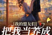 我的盟友们云苓迟盛小说(云苓迟盛)最新章节免费阅读-看书城