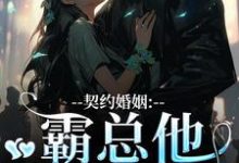 契约婚姻：霸总他超会宠免费阅读(苏锐秦众)小说免费读最新章节-看书城