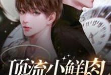 主角是梦泽的小说顶流小鲜肉每天只想官宣在哪免费看-看书城