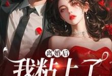离婚后,我粘上了那位大佬精彩章节在线免费阅读(舒愿陆骁)-看书城