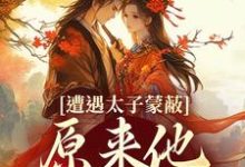 小说遭遇太子蒙蔽，原来他才是反派主角慕灼华赫连枭免费阅读-看书城