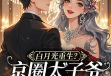 精彩章节阅读白月光重生？京圈太子爷被撩红温(云漾裴今墨)免费小说在线看-看书城