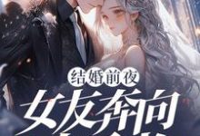 结婚前夜,女友奔向白月光(秦凯)最新章节免费在线阅读-看书城