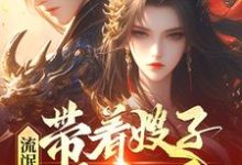 跪求主角是齐海的小说书名叫什么-看书城