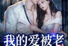 我的爱被老婆永久拉黑（主角姜软软段辞）完结版免费阅读-看书城