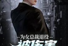 主人公是陆战苏瑾的小说为女总裁退役被伤害，我重拾军装！免费阅读-看书城