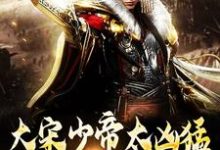 跪求主角是赵昺张世杰的小说书名叫什么-看书城
