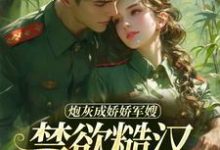跪求主角是陆知衍姜听澜的小说书名叫什么-看书城