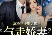 主角是江晚宁庄凌洲的小说高冷三少别太傲,气走娇妻你完了!在哪免费看-看书城