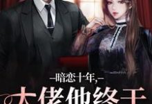 小说暗恋十年，大佬他终于持证上岗了（沈清沅贺景川）最新章节在哪看-看书城