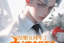 结婚五周年，老婆却和白月光狂欢免费阅读，苏尘顾轻雪大结局无弹窗-看书城