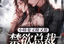 小娇妻又撩又甜,禁欲总裁宠上瘾热门小说(江熹季向聿)在线阅读无弹窗-看书城