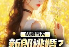 主角是商悠悠霍元琛的小说结婚当天，新郎逃婚？我当场改嫁！在哪免费看-看书城