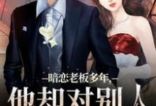 暗恋老板多年,他却对别人温柔相待精彩章节阅读(顾楠裴颂忱)免费阅读大结局-看书城