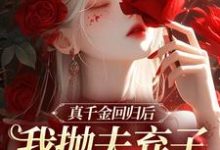 小说真千金回归后,我抛夫弃子独自美丽主角苏黎陆敬煊免费阅读-看书城