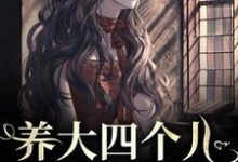 养大四个儿，八个孙，凄惨离世后免费阅读(黄晚晴宋长武)小说免费读最新章节-看书城