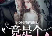 完结版冷漠矜持的霸总，竟是个纯爱战士在哪免费看，宋诗予段斯昀小说在线阅读-看书城