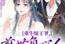 重生嫁王爷，前世负心人竟是我？免费阅读，沈挽谢景御大结局无弹窗-看书城