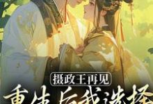 摄政王再见，重生后我选择绿茶小皇帝免费阅读(萧轻羽武凌霍)小说免费读最新章节-看书城