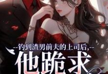 钓到渣男前夫的上司后,他跪求放过小说最新章节在哪里可以免费看-看书城