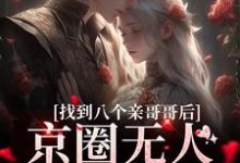 叶小汐叶以辰小说免费阅读最新章节列表，找到八个亲哥哥后，京圈无人敢惹她小说在线看-看书城