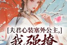 小说夫君心装塞外公主，我强撩也能到手（叶锦意萧凛渊）最新章节在哪看-看书城