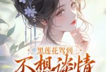 宁司寒林妩最新章节黑莲花驾到，不想谈情只想晋升免费阅读-看书城